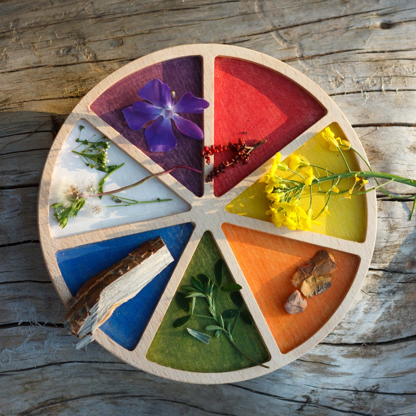 Rainbow wooden toy wheel in 7 colours, each segment containing a plant or flower representing the same colour